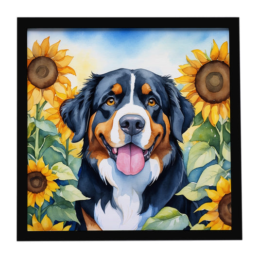 Buy this Bernese Mountain Dog in Sunflowers Framed Metal Print
