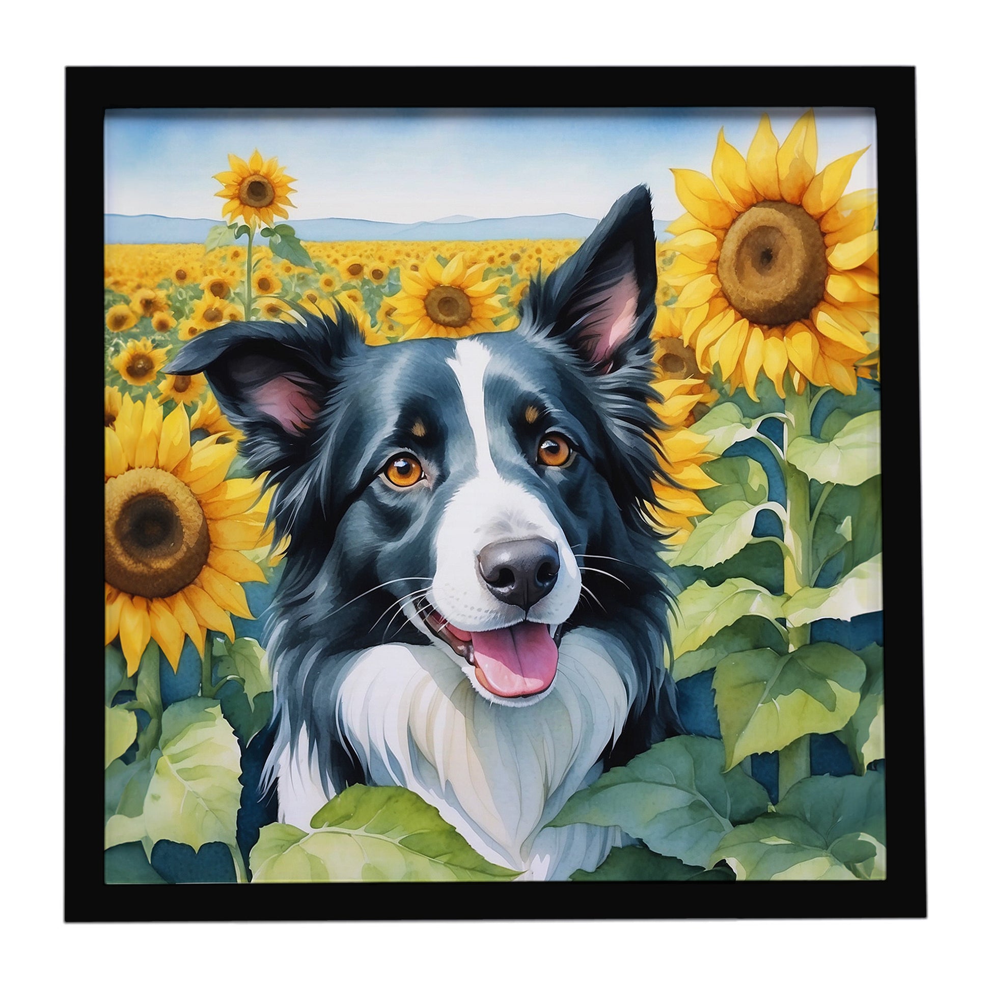 Buy this Border Collie in Sunflowers Framed Metal Print