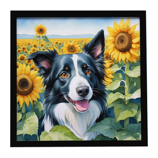 Buy this Border Collie in Sunflowers Framed Metal Print