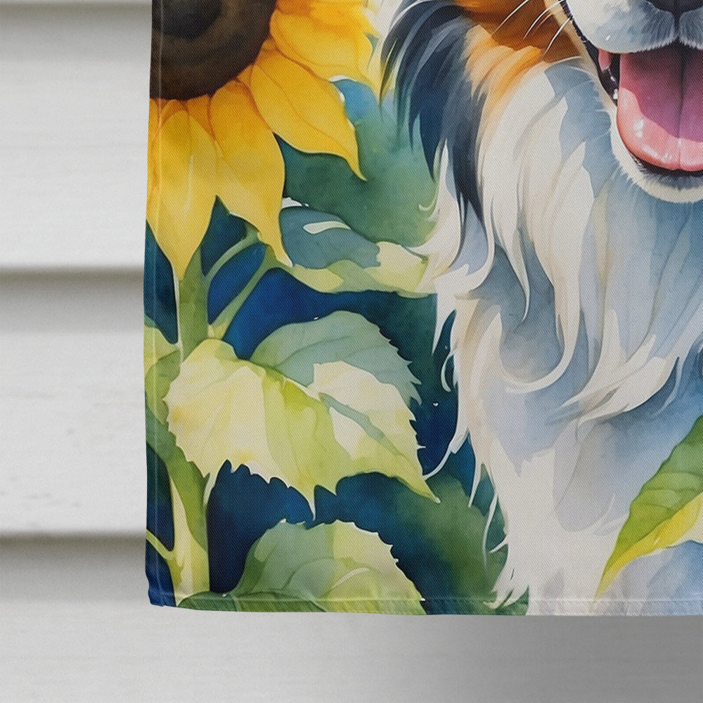 Border Collie in Sunflowers House Flag