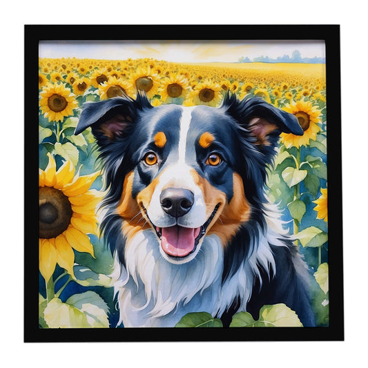 Buy this Border Collie in Sunflowers Framed Metal Print