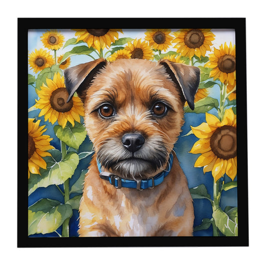 Buy this Border Terrier in Sunflowers Framed Metal Print