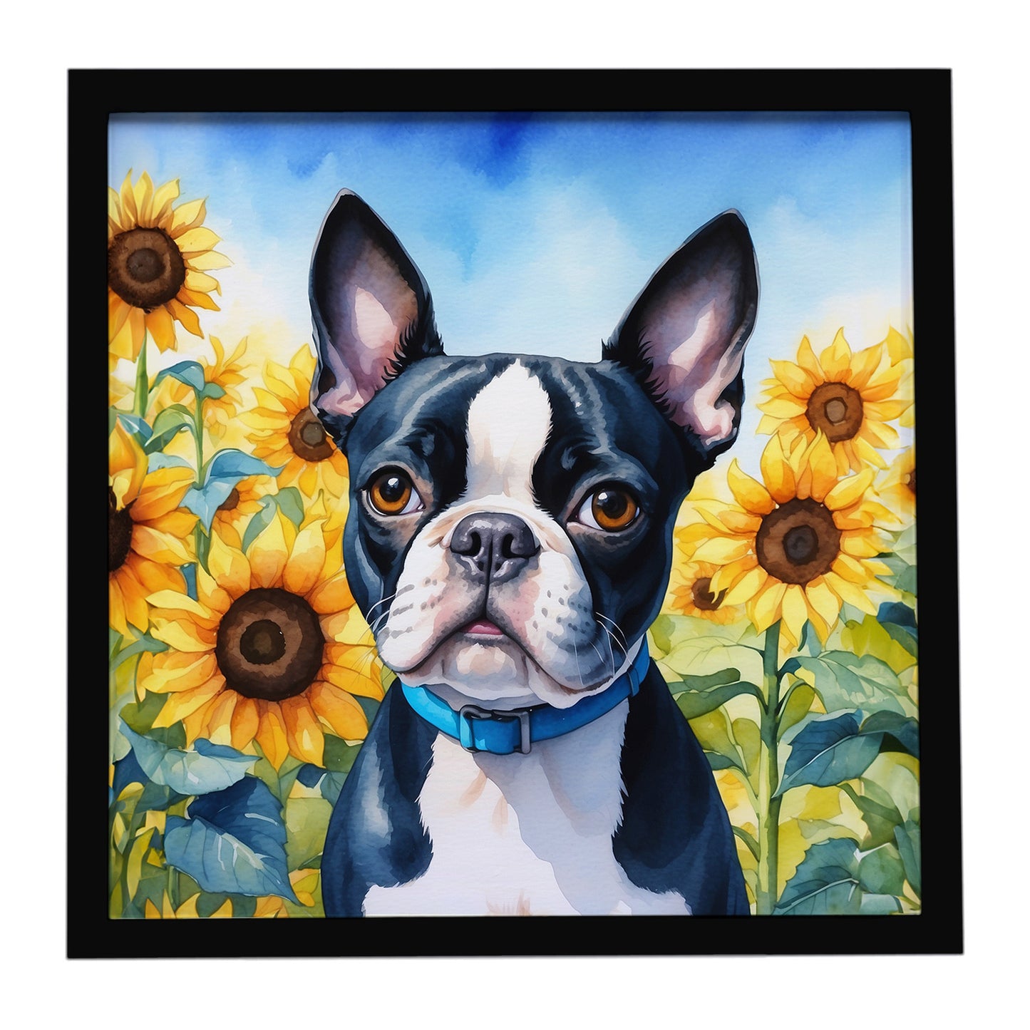 Buy this Boston Terrier in Sunflowers Framed Metal Print