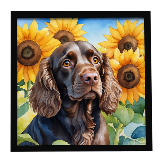 Buy this Boykin Spaniel in Sunflowers Framed Metal Print
