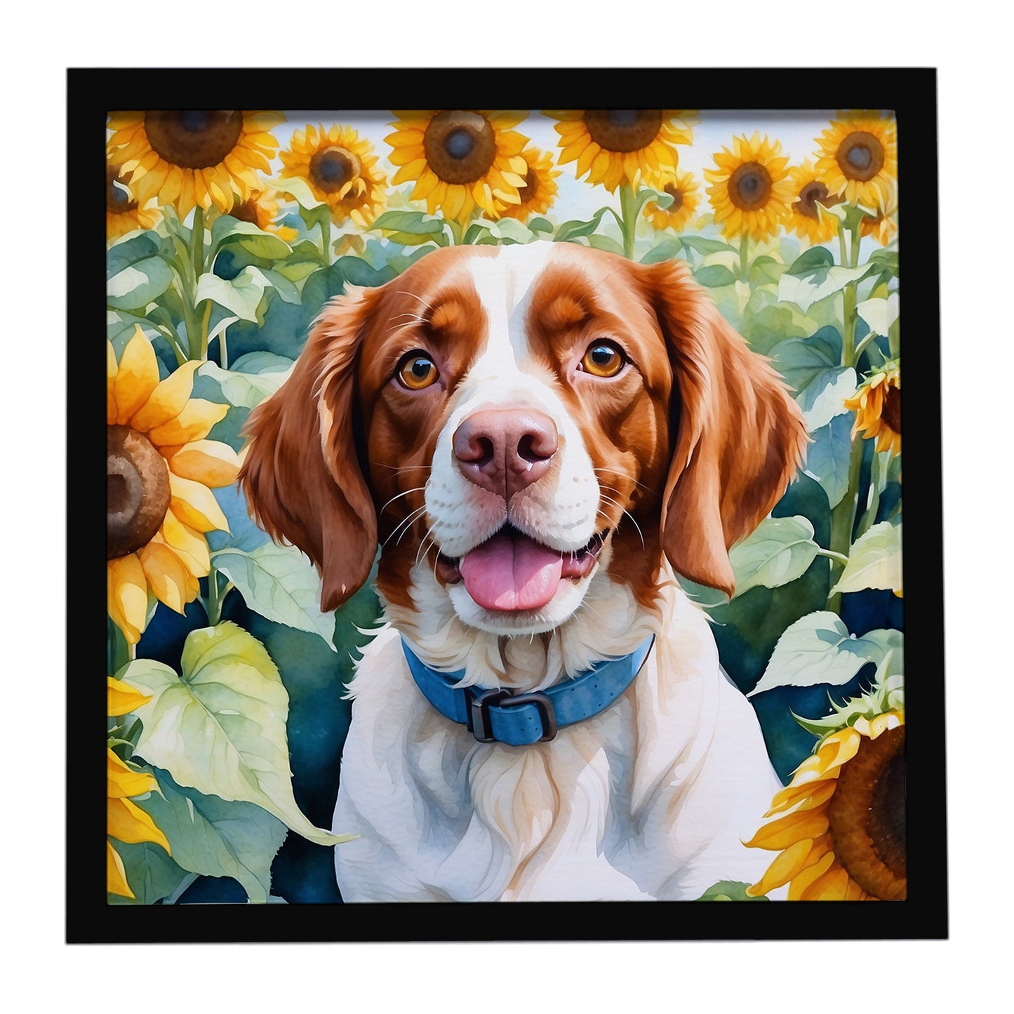 Buy this Brittany Spaniel in Sunflowers Framed Metal Print