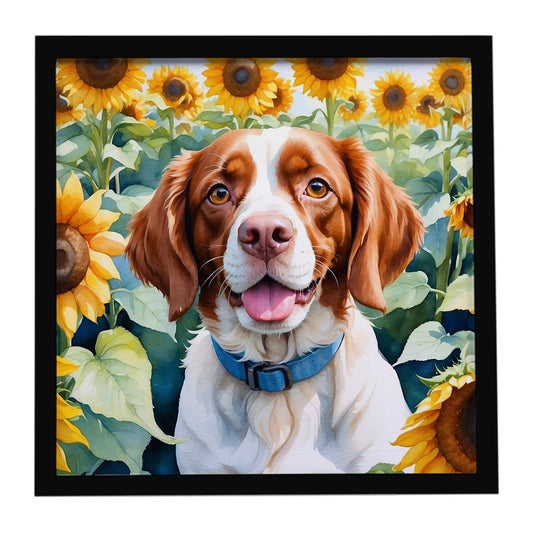 Buy this Brittany Spaniel in Sunflowers Framed Metal Print