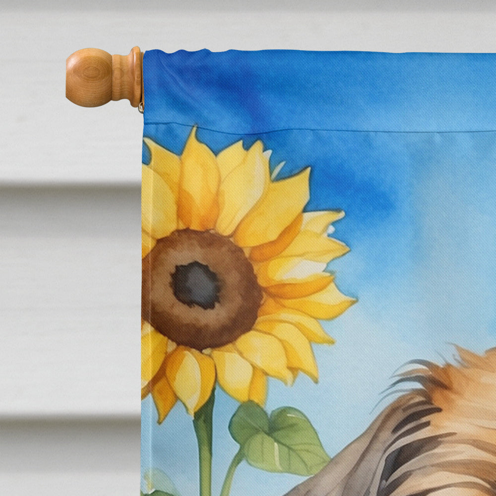 Brussels Griffon in Sunflowers House Flag