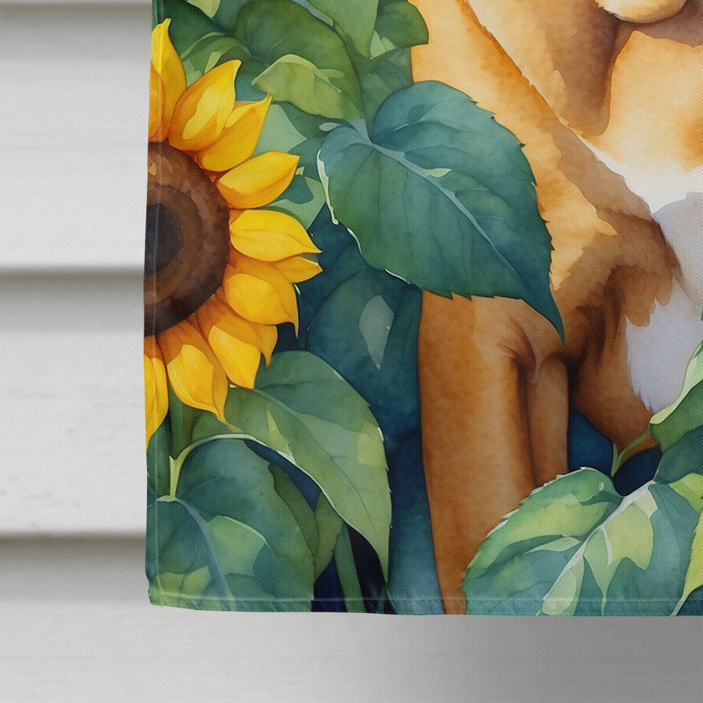 Bullmastiff in Sunflowers House Flag