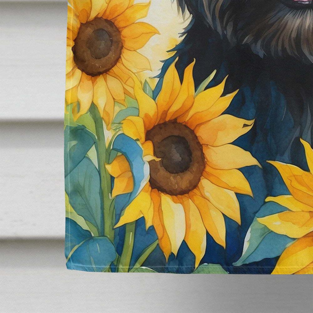 Cairn Terrier in Sunflowers House Flag