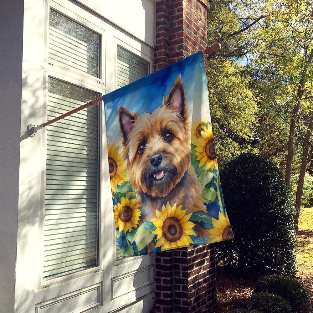 Cairn Terrier in Sunflowers House Flag