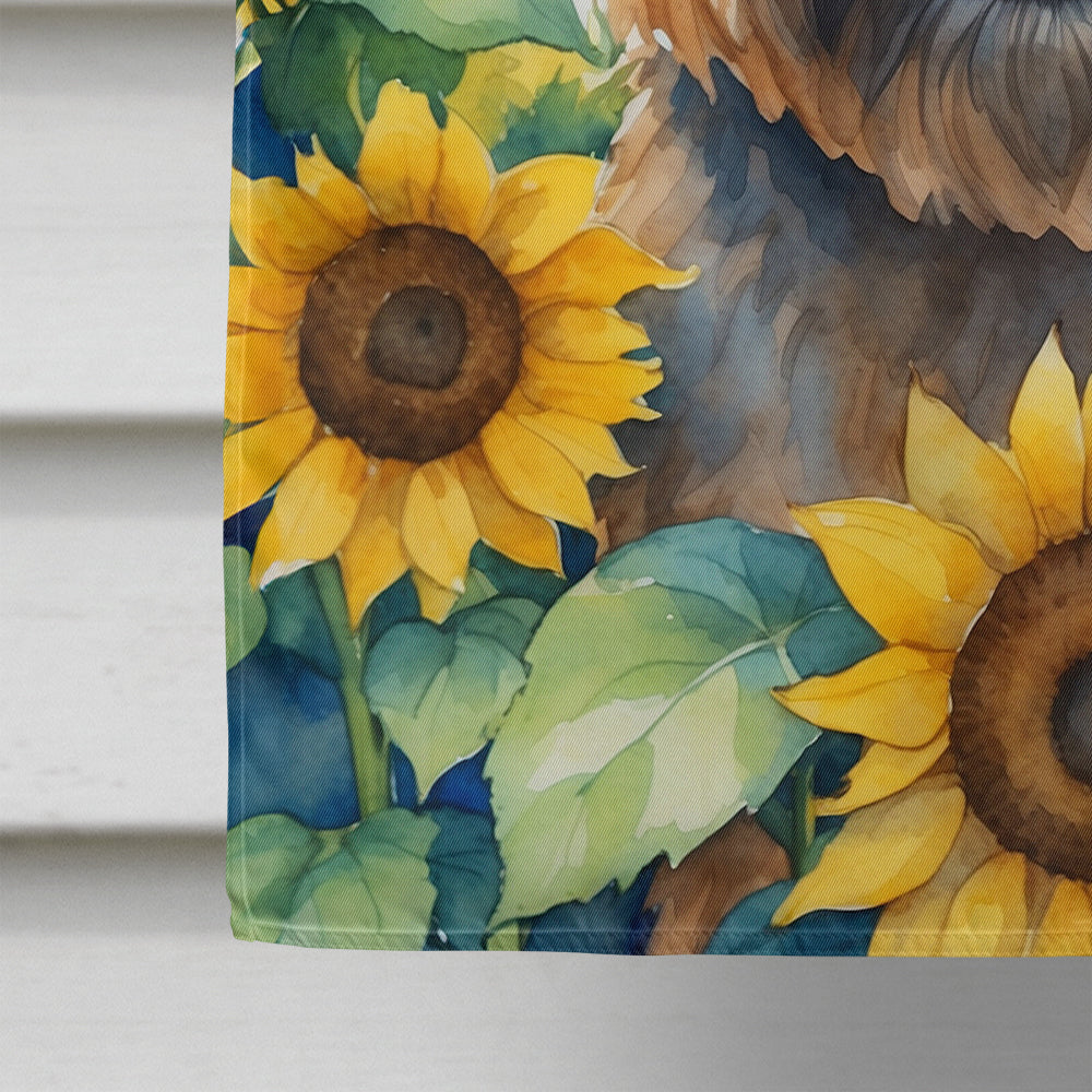 Cairn Terrier in Sunflowers House Flag