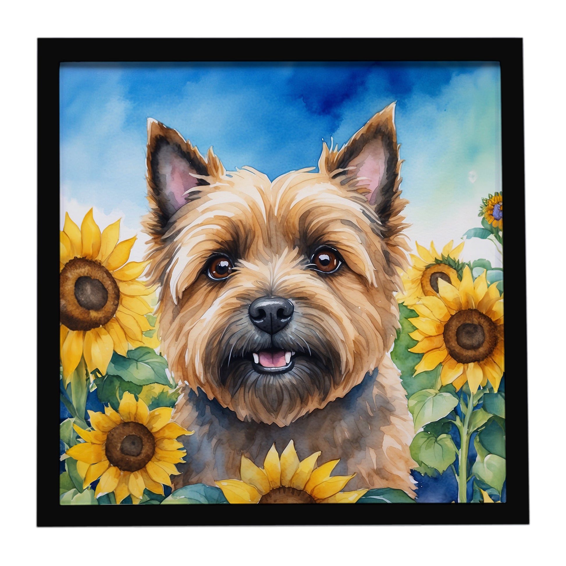 Buy this Cairn Terrier in Sunflowers Framed Metal Print