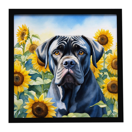 Buy this Cane Corso in Sunflowers Framed Metal Print