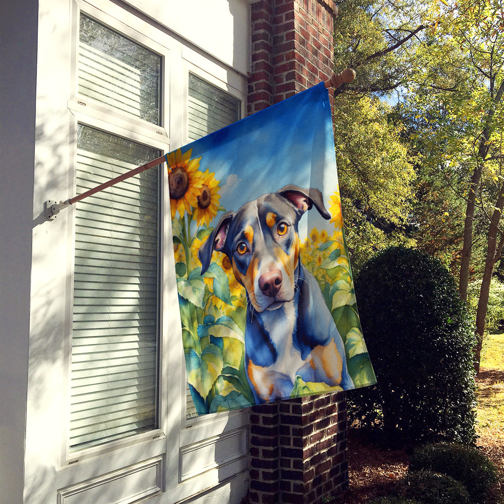 Catahoula in Sunflowers House Flag