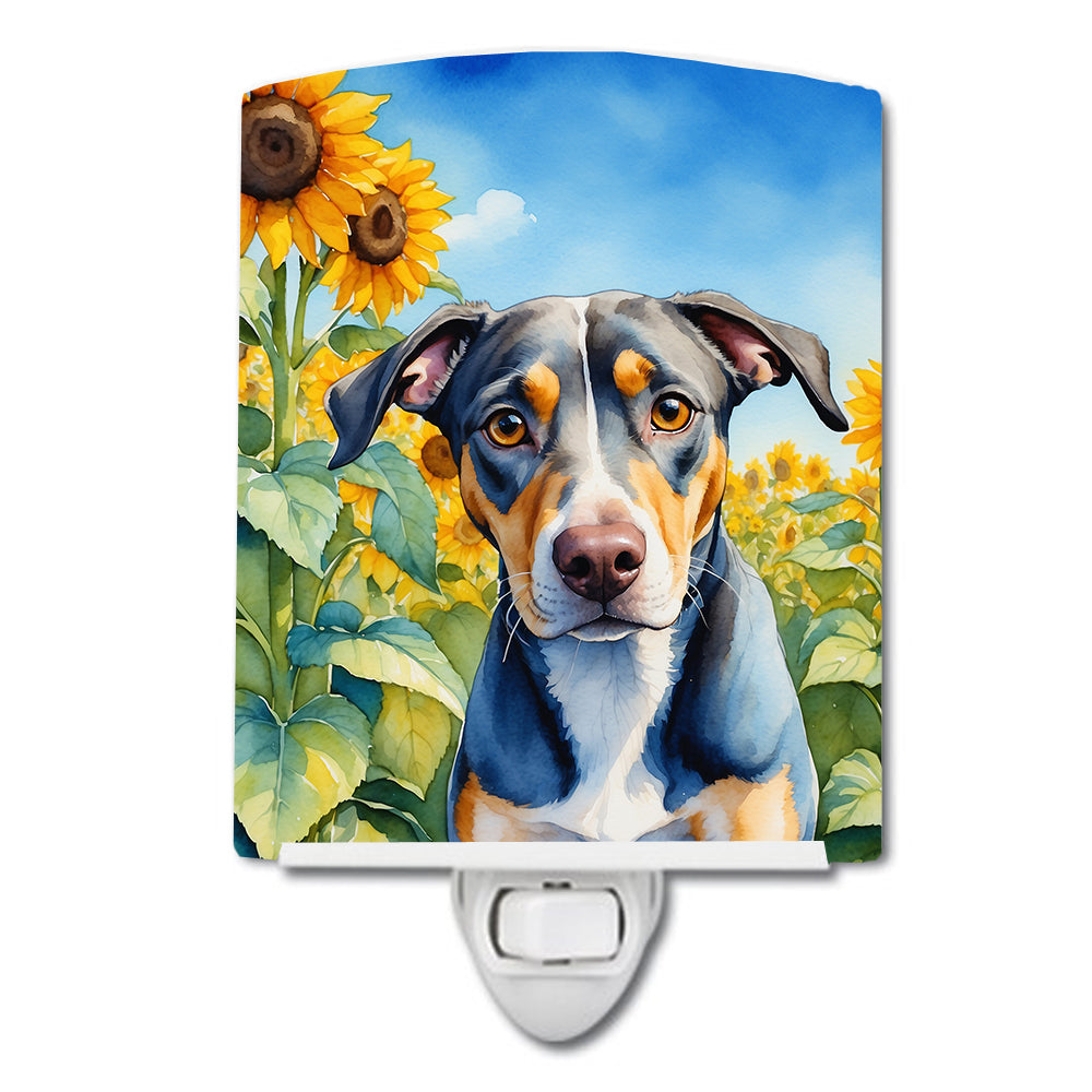 Buy this Catahoula in Sunflowers Ceramic Night Light