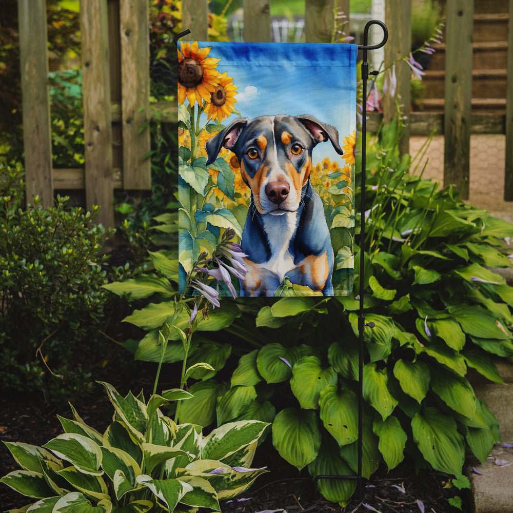 Catahoula in Sunflowers Garden Flag