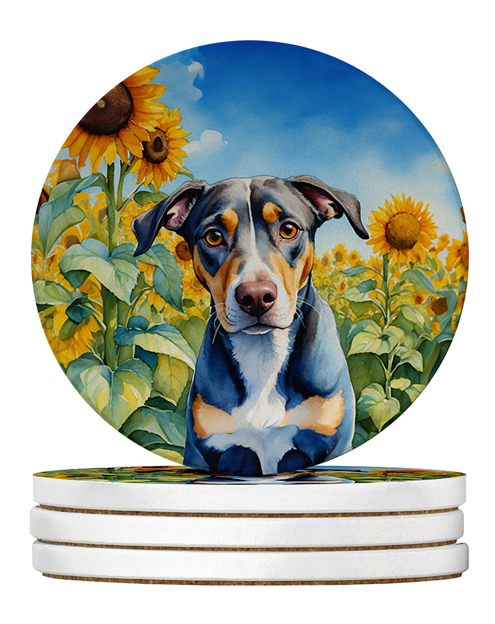 Buy this Catahoula in Sunflowers Large Sandstone Coasters Pack of 4