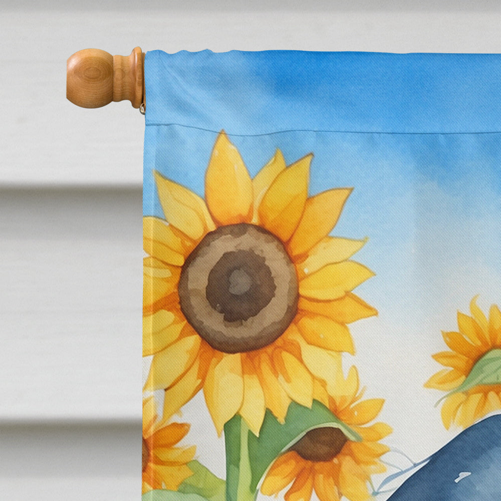 Cavalier Spaniel in Sunflowers House Flag