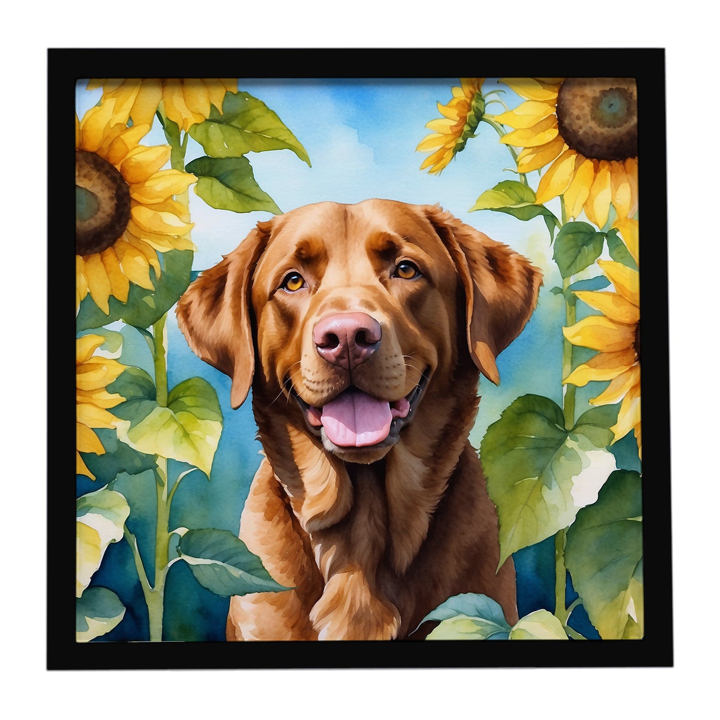 Buy this Chesapeake Bay Retriever in Sunflowers Framed Metal Print