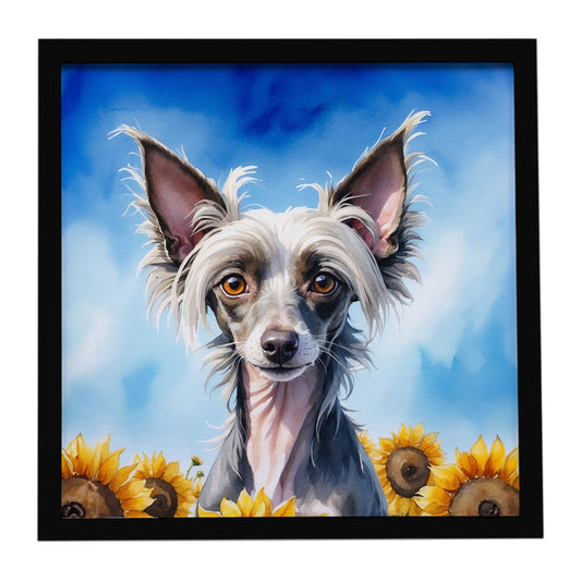Buy this Chinese Crested in Sunflowers Framed Metal Print