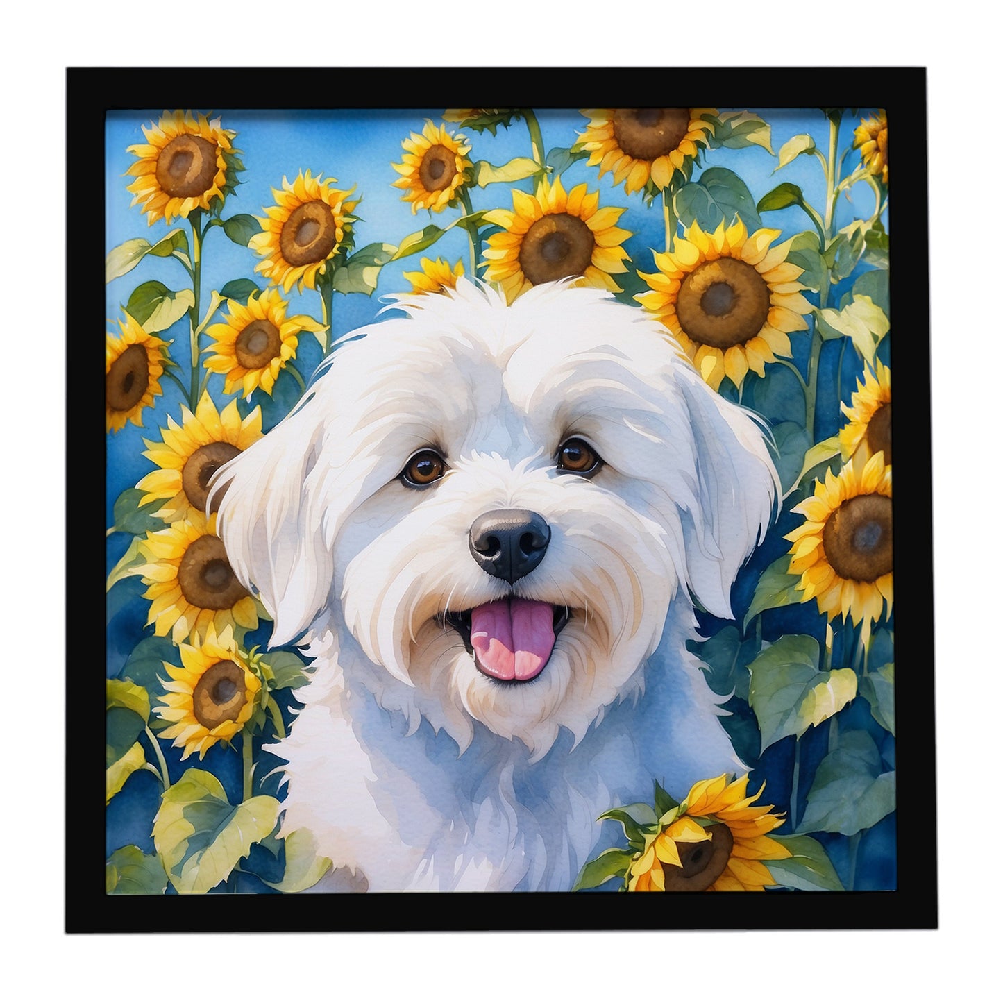 Buy this Coton de Tulear in Sunflowers Framed Metal Print