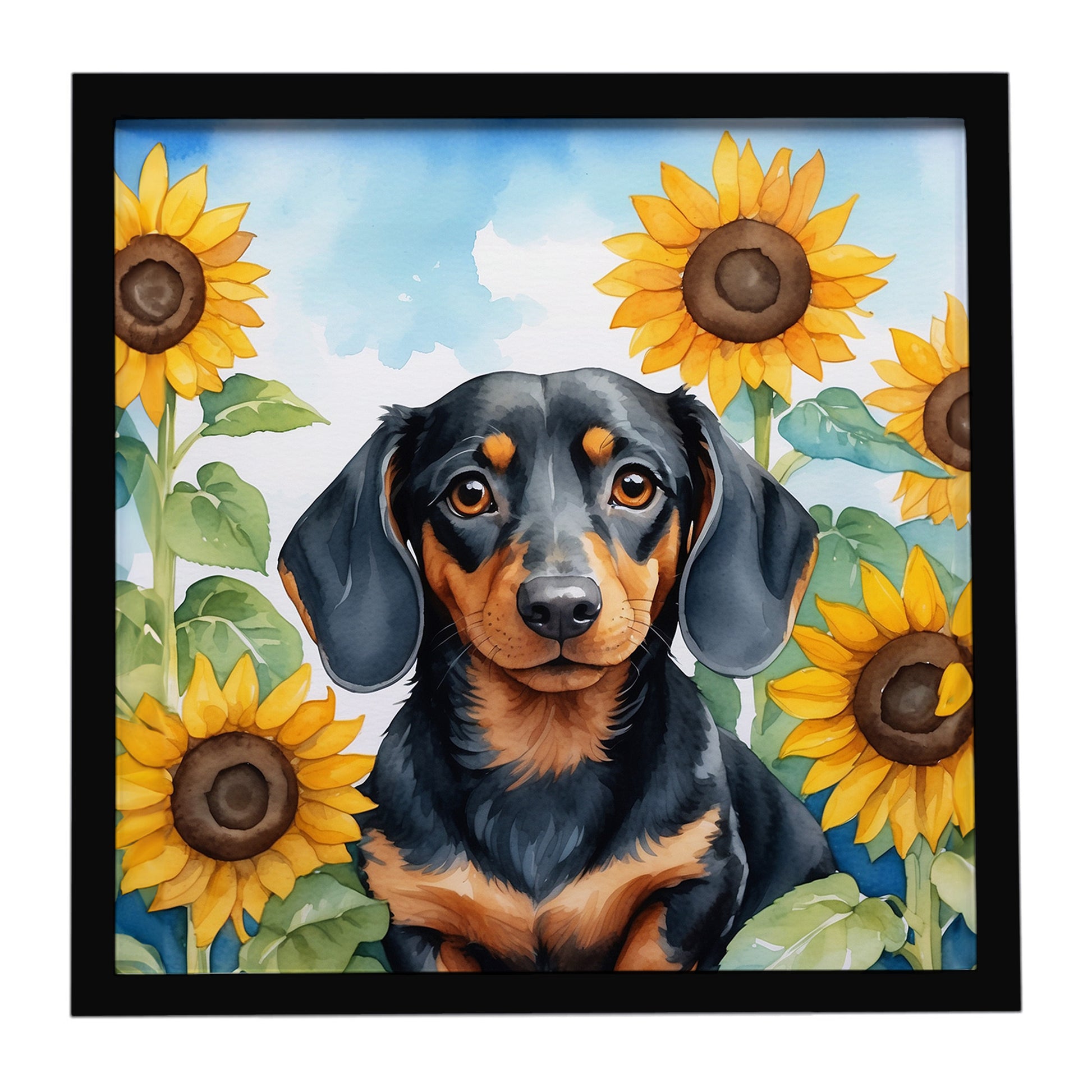 Buy this Dachshund in Sunflowers Framed Metal Print