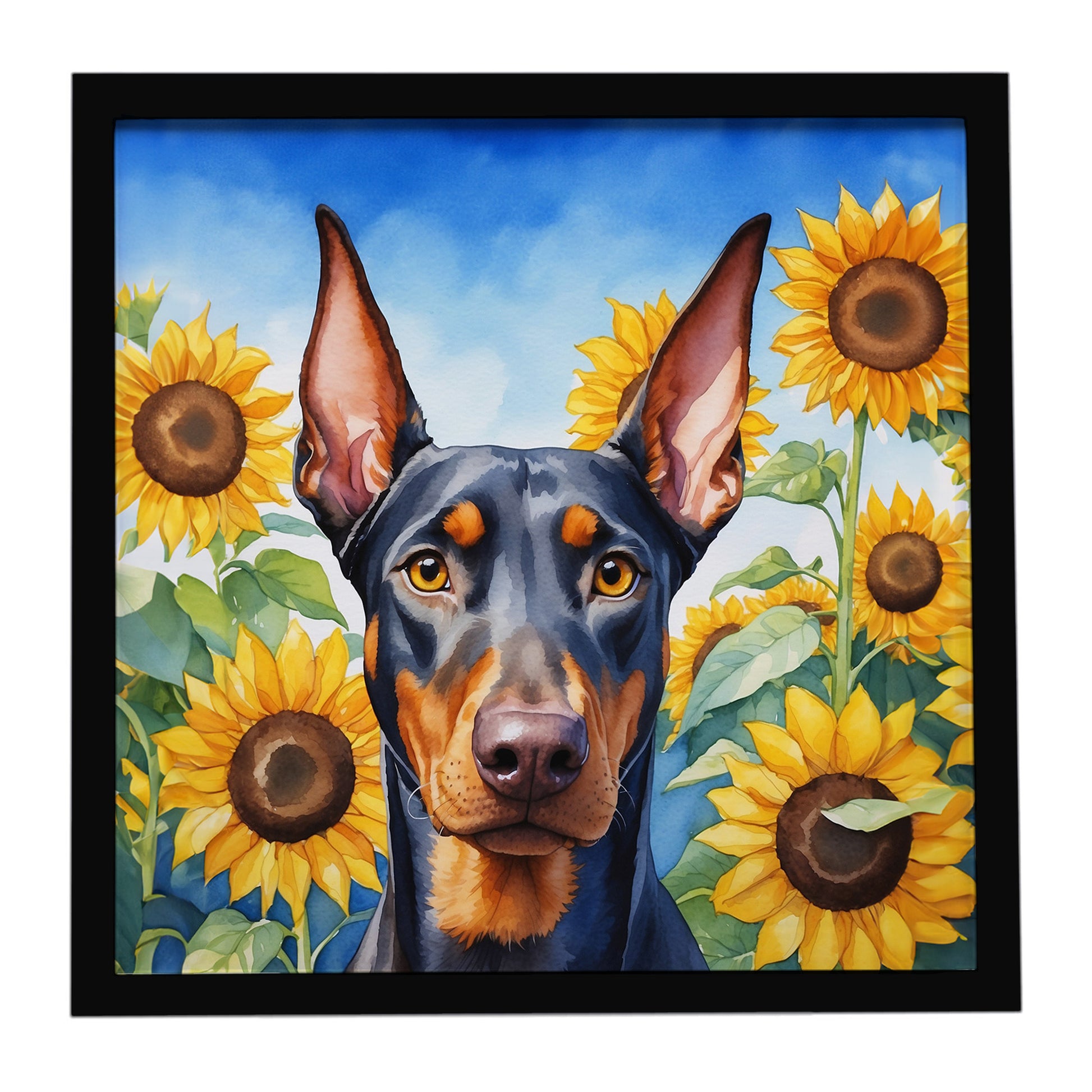 Buy this Doberman Pinscher in Sunflowers Framed Metal Print