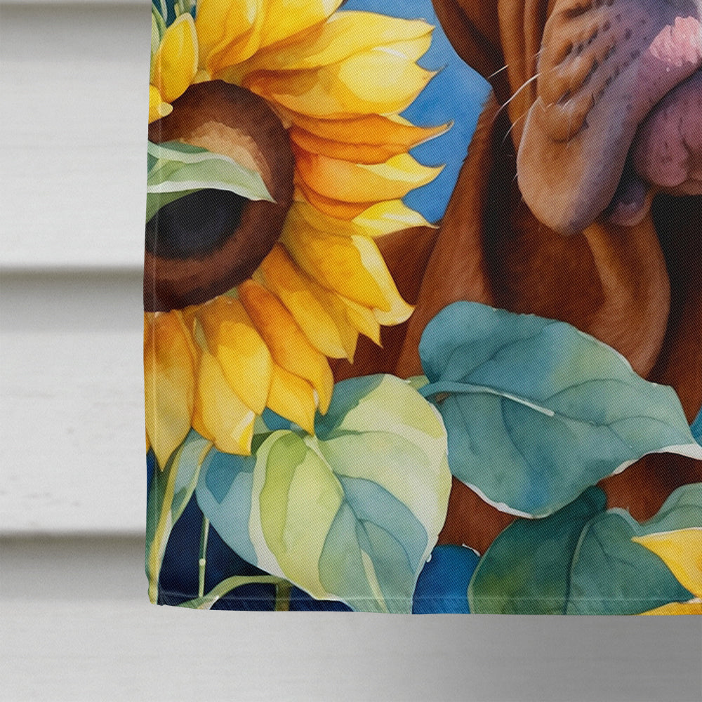 Dogue de Bordeaux in Sunflowers House Flag