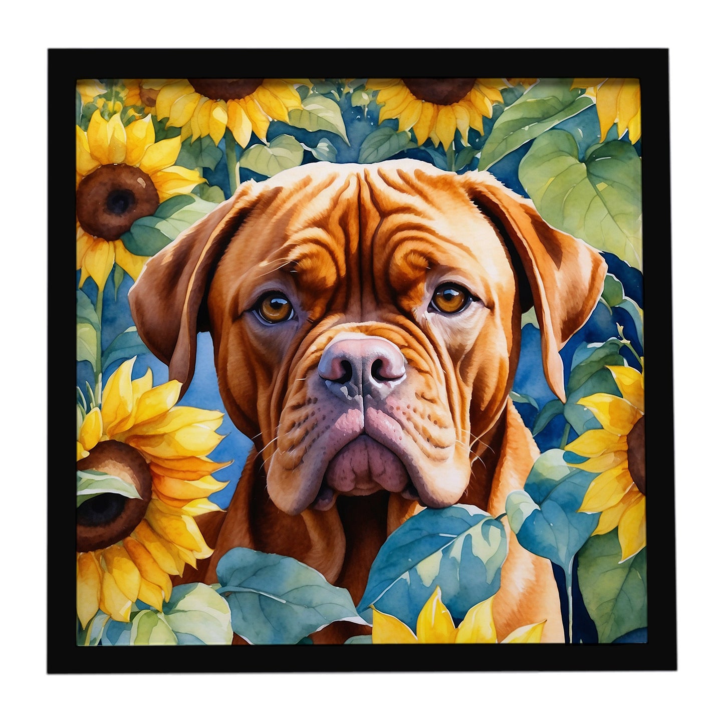 Buy this Dogue de Bordeaux in Sunflowers Framed Metal Print
