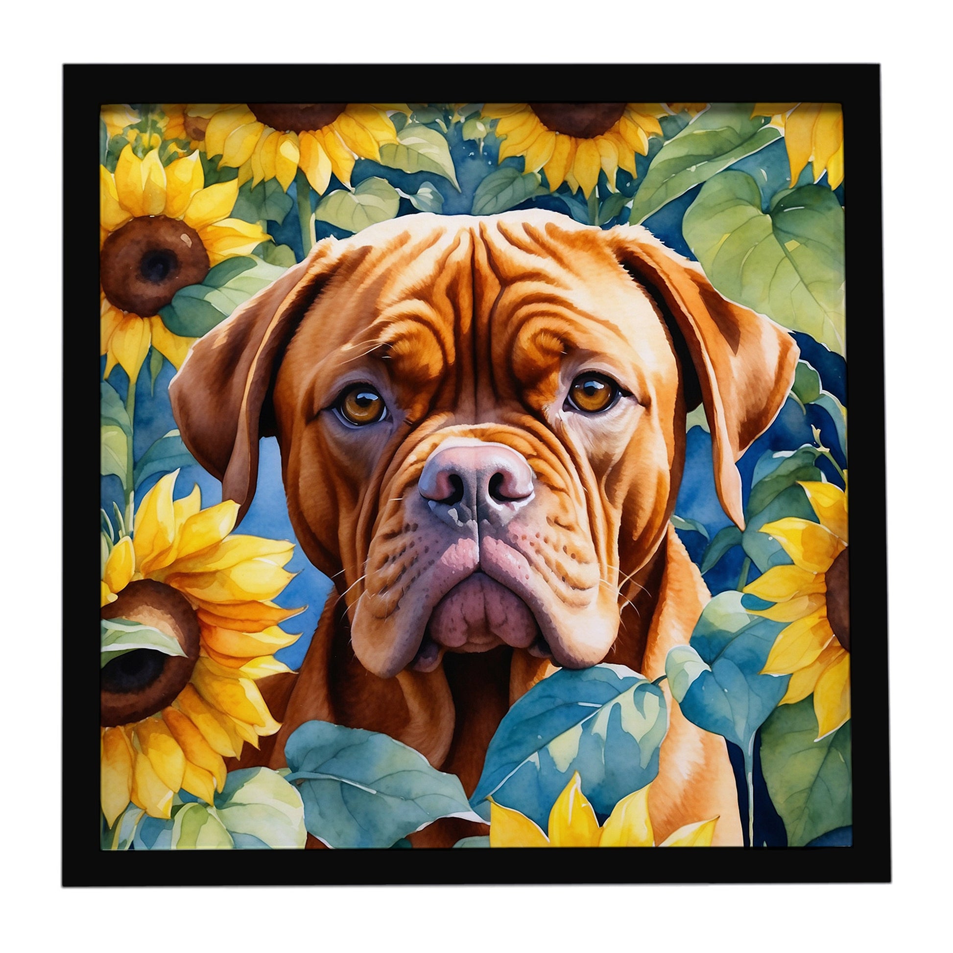 Buy this Dogue de Bordeaux in Sunflowers Framed Metal Print