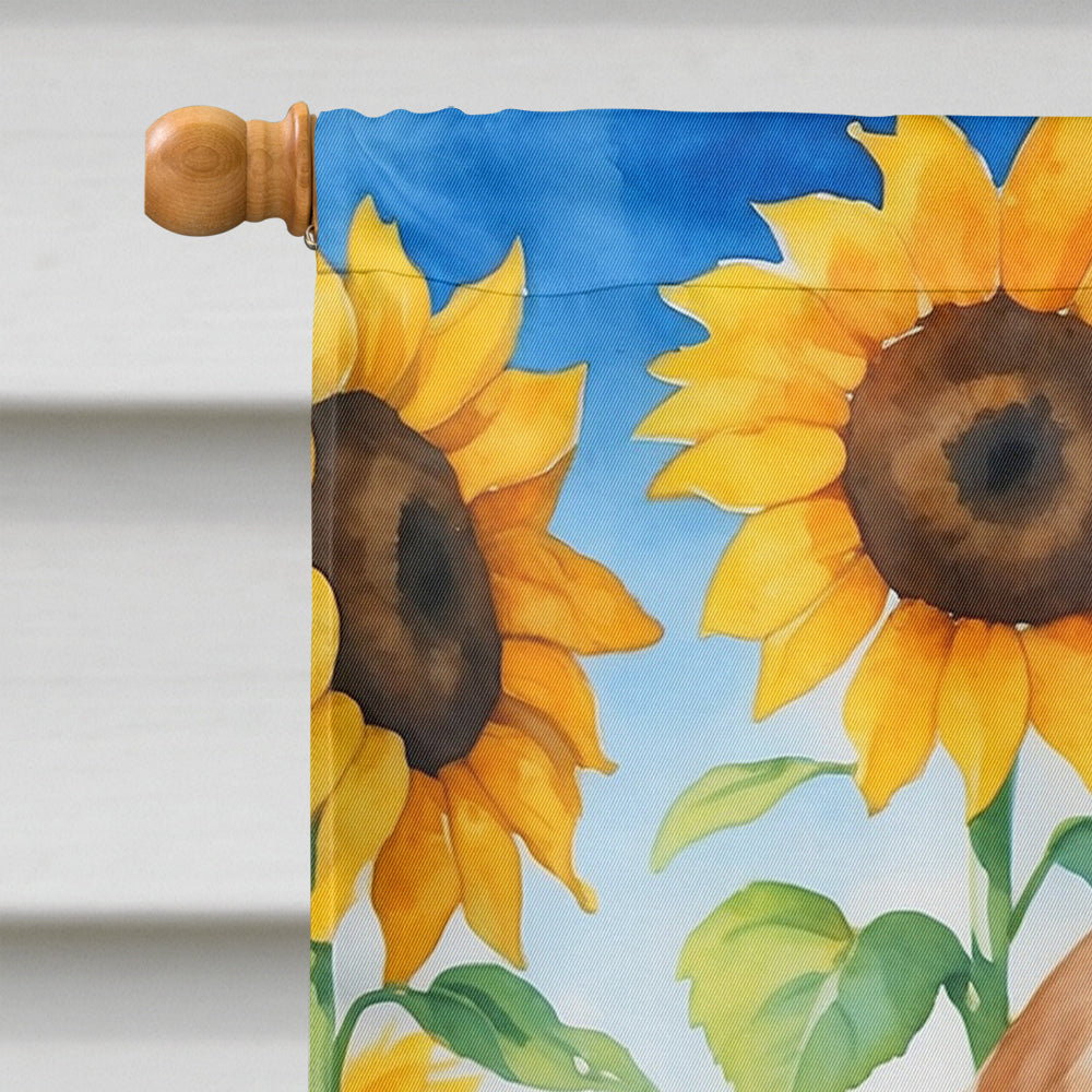 English Cocker Spaniel in Sunflowers House Flag