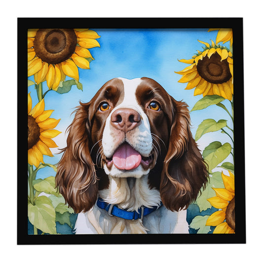 Buy this English Springer Spaniel in Sunflowers Framed Metal Print