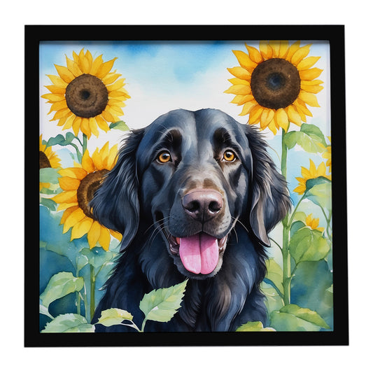 Buy this Flat-Coated Retriever in Sunflowers Framed Metal Print
