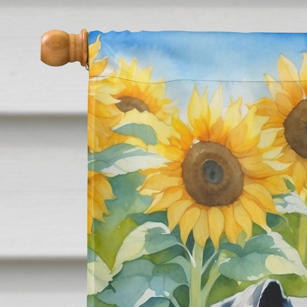 Giant Schnauzer in Sunflowers House Flag