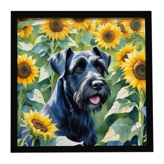 Buy this Giant Schnauzer in Sunflowers Framed Metal Print