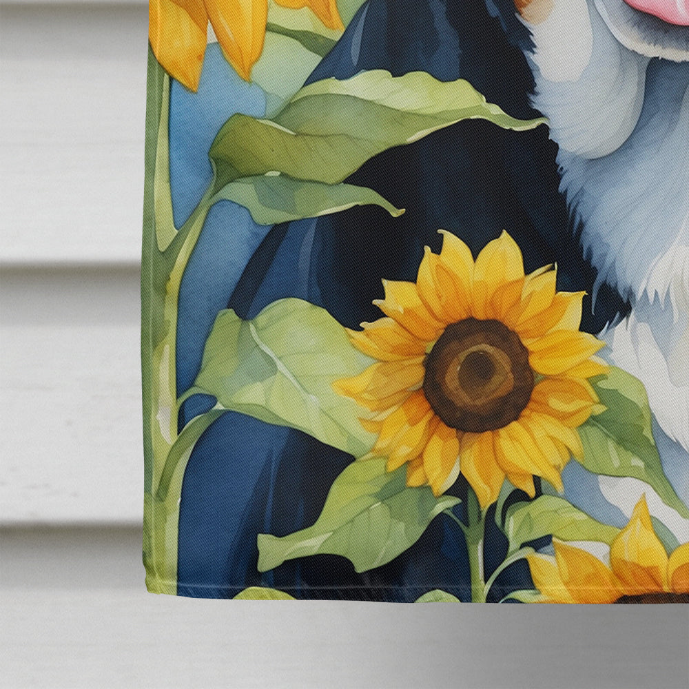 Greater Swiss Mountain Dog in Sunflowers House Flag