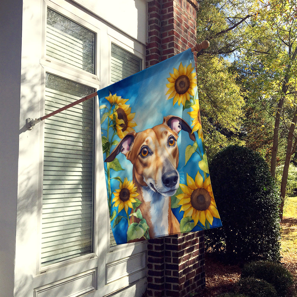 Greyhound in Sunflowers House Flag