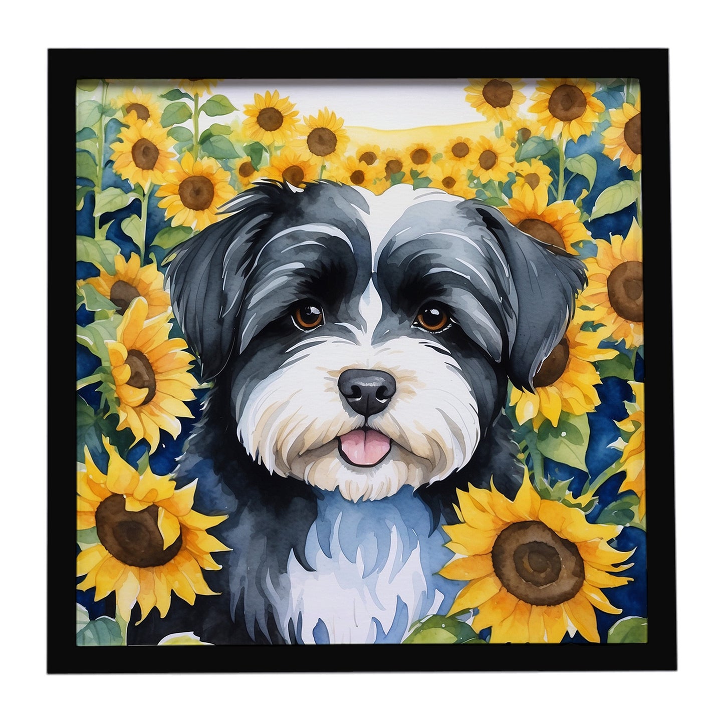 Buy this Havanese in Sunflowers Framed Metal Print