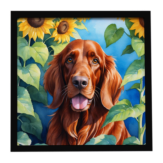 Buy this Irish Setter in Sunflowers Framed Metal Print