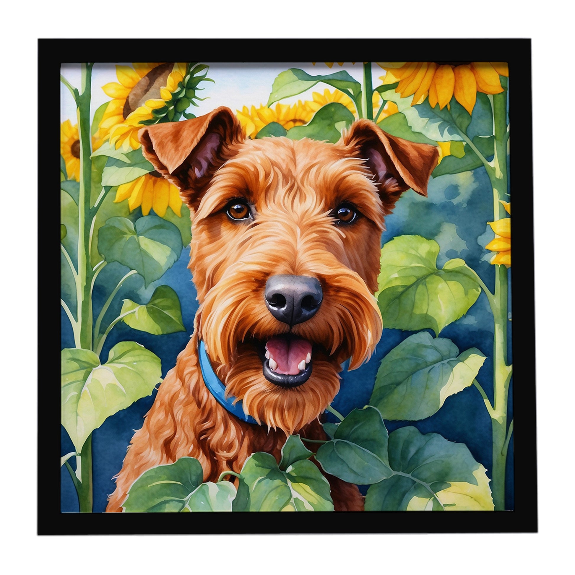 Buy this Irish Terrier in Sunflowers Framed Metal Print