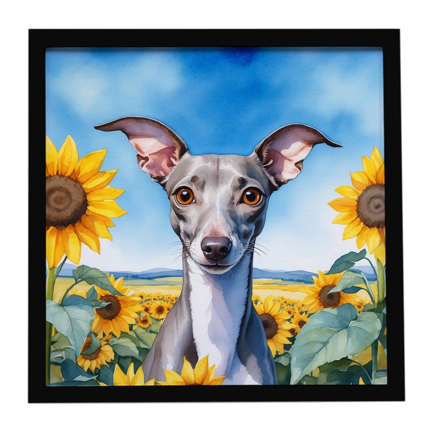 Buy this Italian Greyhound in Sunflowers Framed Metal Print