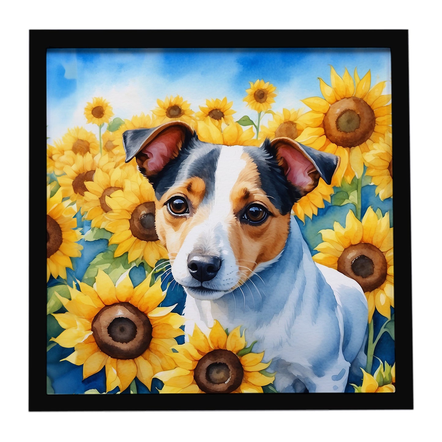 Buy this Jack Russell Terrier in Sunflowers Framed Metal Print