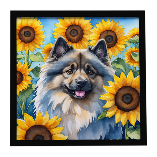 Buy this Keeshond in Sunflowers Framed Metal Print