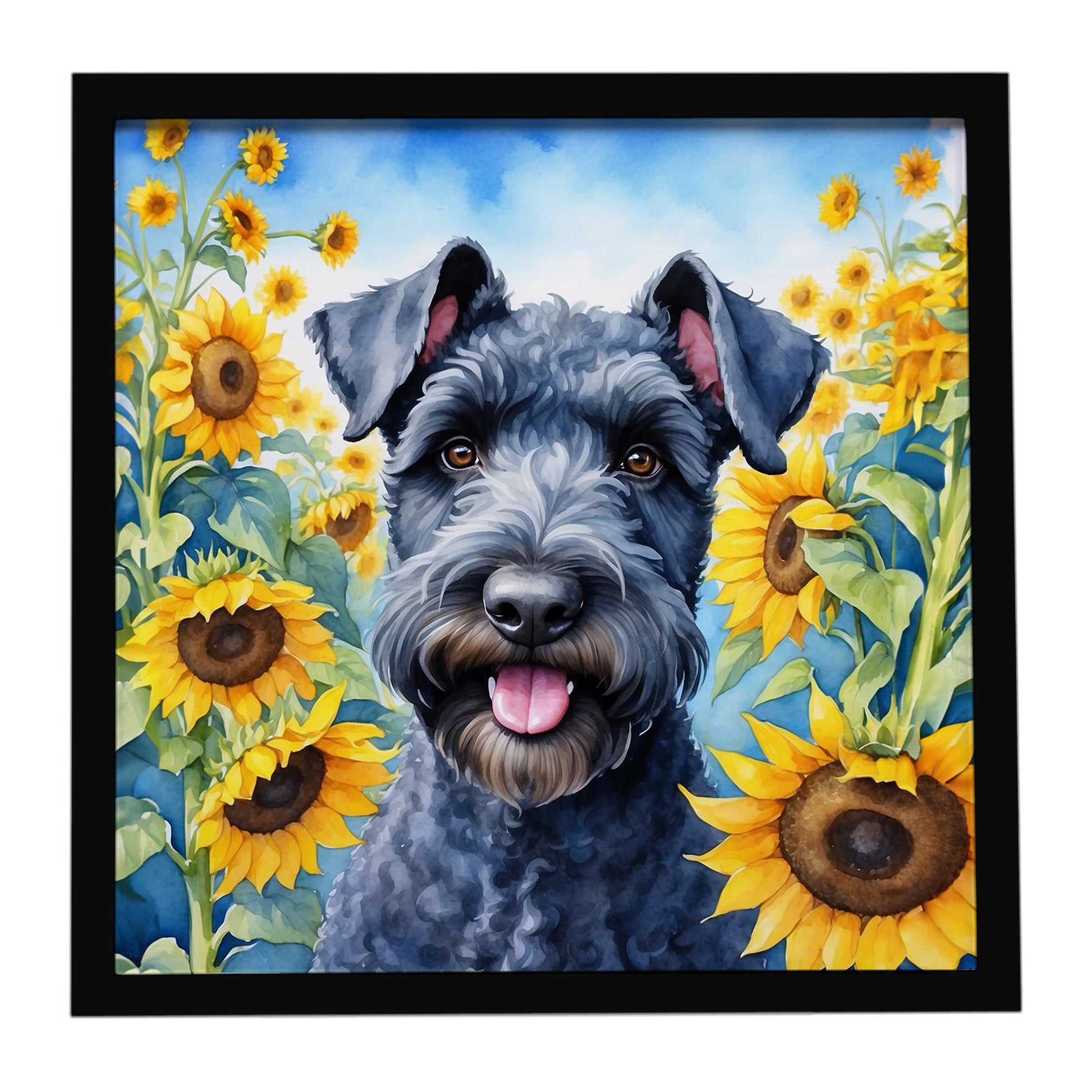 Buy this Kerry Blue Terrier in Sunflowers Framed Metal Print