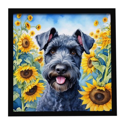 Buy this Kerry Blue Terrier in Sunflowers Framed Metal Print