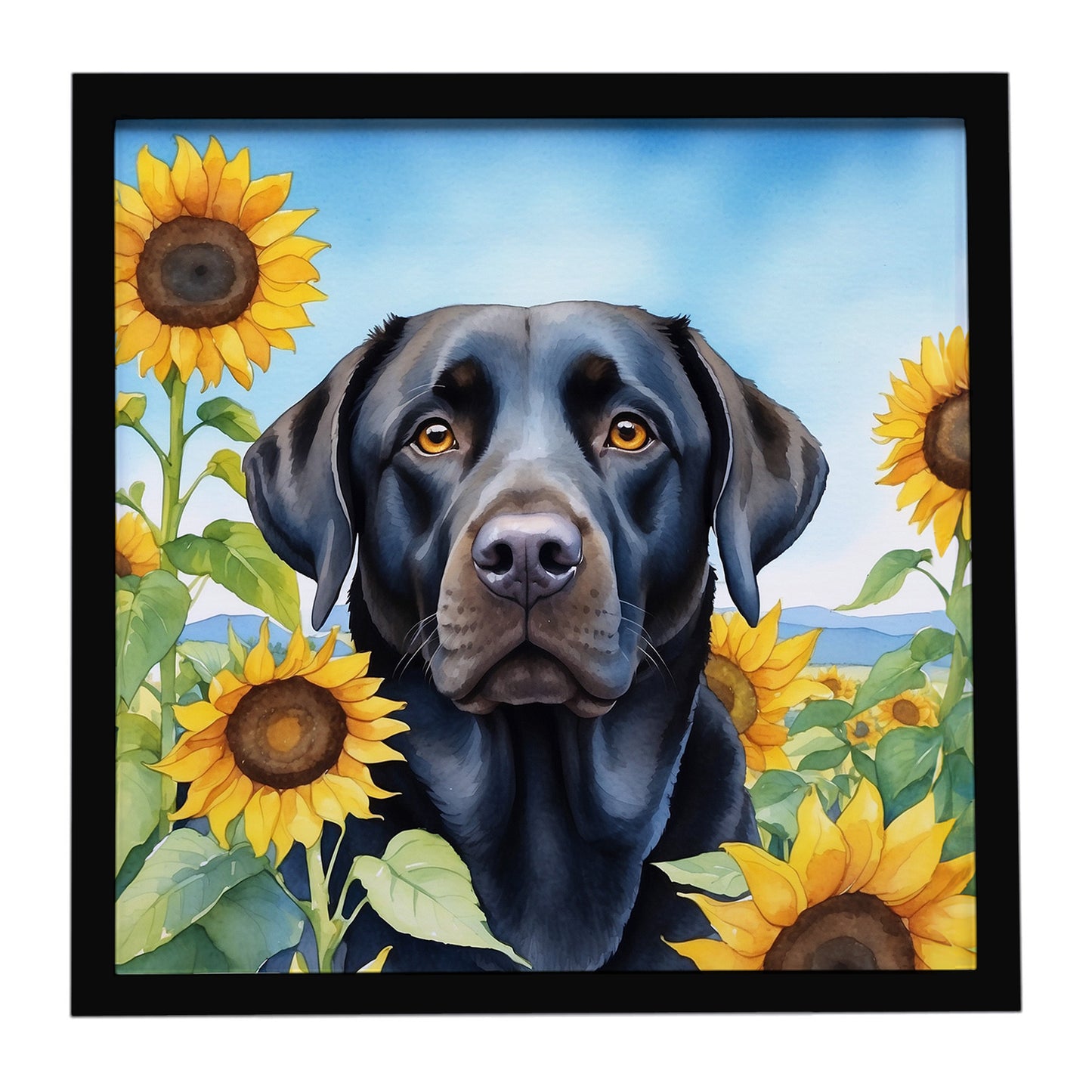Buy this Labrador Retriever in Sunflowers Framed Metal Print