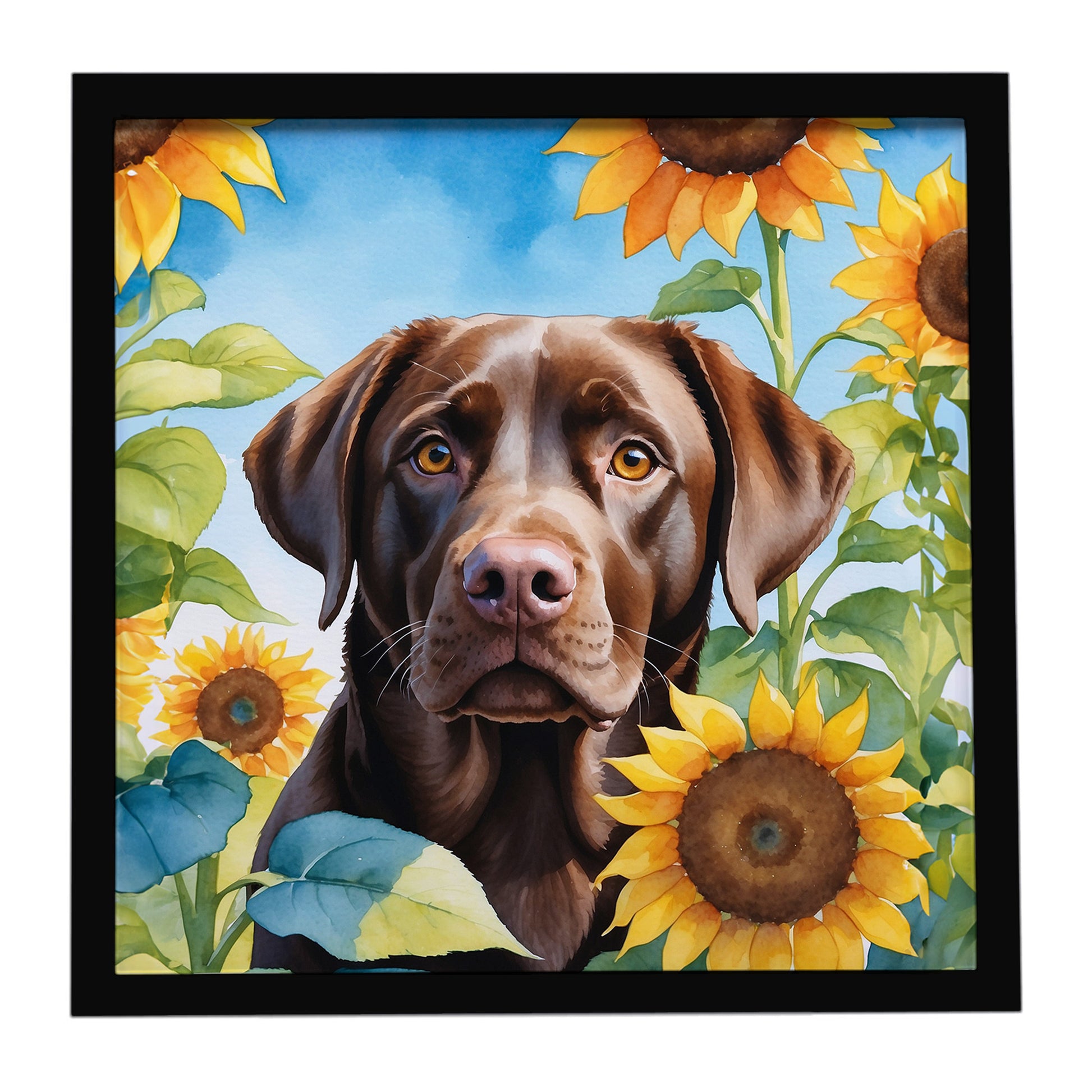Buy this Labrador Retriever in Sunflowers Framed Metal Print