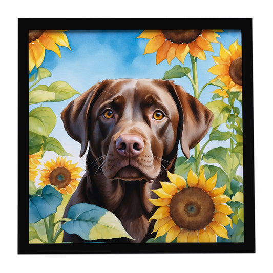 Buy this Labrador Retriever in Sunflowers Framed Metal Print