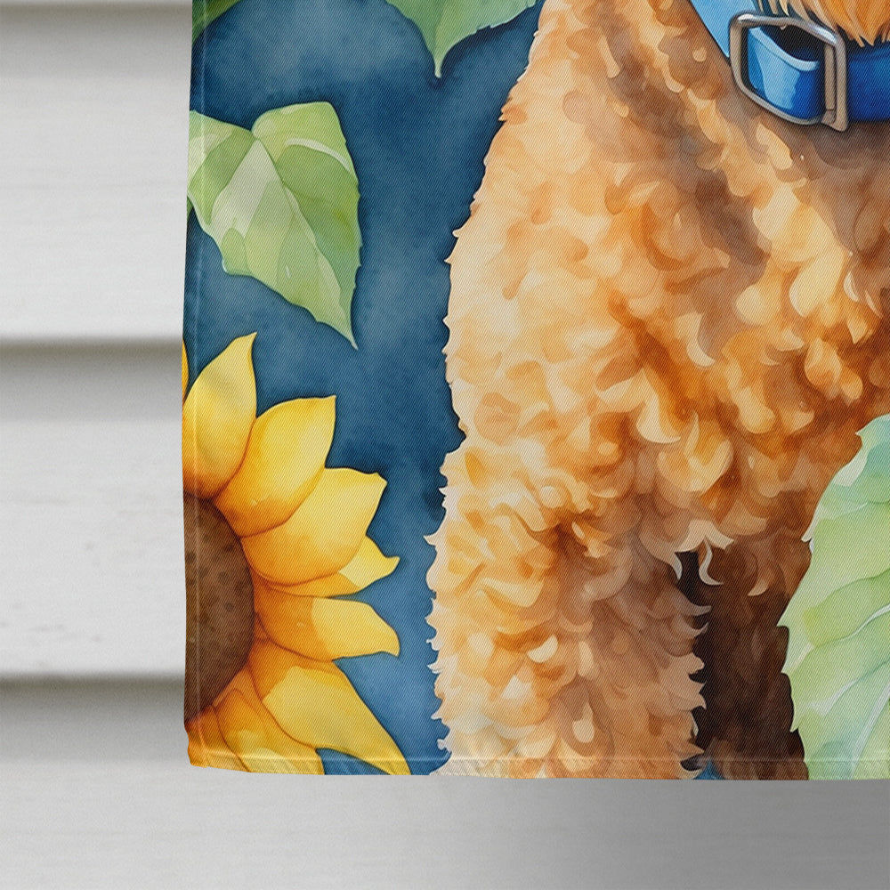 Lakeland Terrier in Sunflowers House Flag