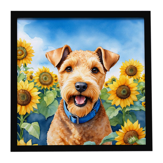 Buy this Lakeland Terrier in Sunflowers Framed Metal Print